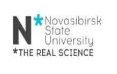 Novosibirsk State University Logo